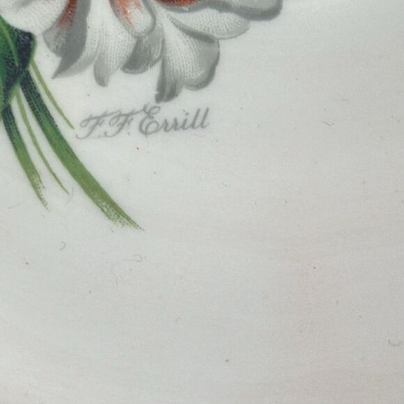 Royal Standard Radiance Teacup Saucer Artist F. F. Errill Red White Camellias - Picture 9 of 13